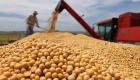 美国上周对华大豆出口跌至10个月低位 疫情引发对中国需求的担忧