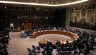 مصر تتمسك بـ"فيتو" أفريقي في مجلس الأمن