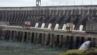 La Hidroeléctrica Itaipú bate un récord