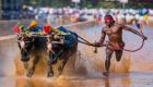 भारत: श्रीनिवास गौड़ा का तेज दौड़ा भैंसा दौड़ में, खींच लिया खेलमंत्री का ध्यान