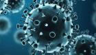 Coronavirus : le bilan s’alourdit ce dimanche, mais le rythme de contamination ralentit