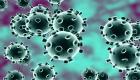 कोरोनोवायरस का भारतीय उद्योग पर असर, सीतारमण ने कहा- सरकार जल्द ही इससे निपटने के उपायों की घोषणा करेगी