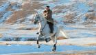  نصف مليون دولار أنفقها زعيم كوريا الشمالية لشراء خيول روسية