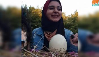 الفتاة المصرية هدى ناصر