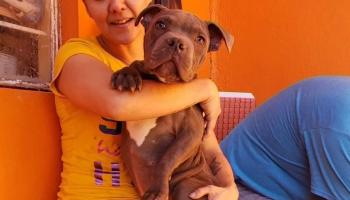 الكلب "رينيه" مع أحد موظفي الملجأ