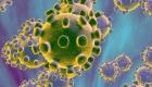 پاکستان میں کرونا وائرس کا سامنے آیا پہلا کیس