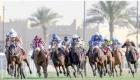 الرياض تشهد أغلى سباقات الخيول في العالم 
