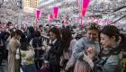 جاپان کا 'چیری بلاسم' تہوار کورونا وائرس کی وجہ سے ہوا منسوخ 