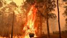 حرارة أستراليا أعلى من المتوسط العالمي.. وخطر الحرائق مستمر