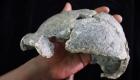 عمرها 1.5 مليون سنة.. اكتشاف بقايا أقدم جمجمة في إثيوبيا