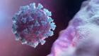 Coronavirus: 190 nouveaux cas en France depuis jeudi