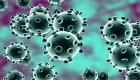 ليبيا تنفي تسجيل أي إصابات بفيروس كورونا المستجد