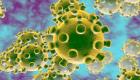 कोरोनावायरस: भारत में संक्रमितों की संख्या 39, केरल में 5 नए मामले
