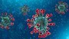 پاکستان میں ایک اور مریض میں کورونا وائرس کی ہوئی تصدیق