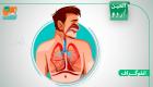 انفوگراف..سانس کے نظام کی حفاظت کے لئے 6 بہترین جڑی بوٹیاں