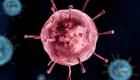 کورونا وائرس: عالمی ادارہ صحت نے کورونا وائرس کو عالمگیر وبا قرار دے دیا