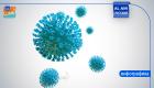Пандемия коронавируса COVID-19 (объявлена ВОЗ 11.03.2020)