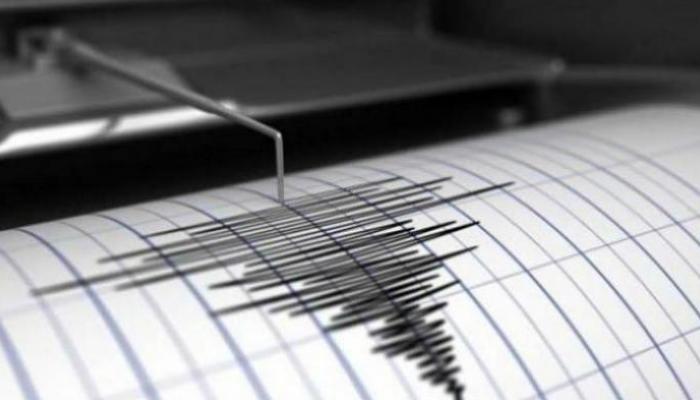 مقياس الزلازل - أرشيفية