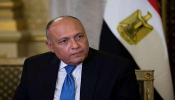 وزير الخارجية المصري سامح شكري - أرشيفية