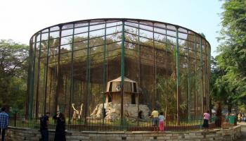 حديقة الحيوان بمحافظة الجيزة في مصر - أرشيفية