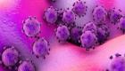 کورونا وائرس: ہندوستان میں مہلوکین کی تعداد ہوئی 4