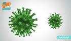 اینفوگرافیک| ویروس کرونا روی سطوح مختلف چقدر زنده می‌ماند؟ 