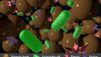 الجهاز الجديد يحتجز البكتيريا 