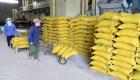 كورونا يوقف صادرات الأرز لثالث أكبر مصدري العالم 