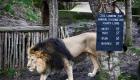 كورونا يغلق أقدم حديقة حيوان في العالم