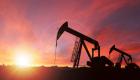 النفط يهوي أكثر من 5% رغم تحفيز مجموعة العشرين