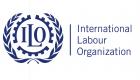 国际劳工组织：此次疫情是实现全球团结的重要时机