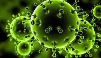 فيروس كورونا المستجد
