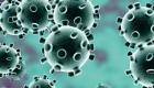 病毒学专家：新冠病毒是否与温度、湿度有关需进一步研究