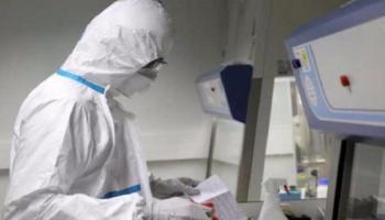 عدد الإصابات بكورونا في أوروجواي بلغ 303