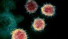 عدوى كورونا.. دراسة تكشف سر انتشار الفيروس