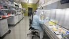 ویروس کرونا: پژوهشگران استرالیایی آزمایش واکسن‌های ضد کرونا را آغاز می‌کنند