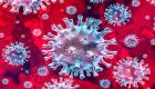 پاکستان میں کورونا وائرس کے پھیلاؤ کی تازہ ترین صورتحال