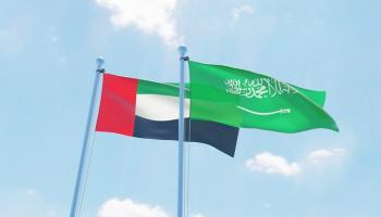 الإمارات عضد السعودية