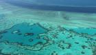 科学家：大堡礁遭遇大面积白化威胁