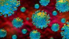 علماء يكتشفون الخطوة الأولى لعلاج مضاد لفيروس كورونا