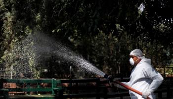 عامل يرش مطهرات بحديقة حيوانات الجيزة في مصر