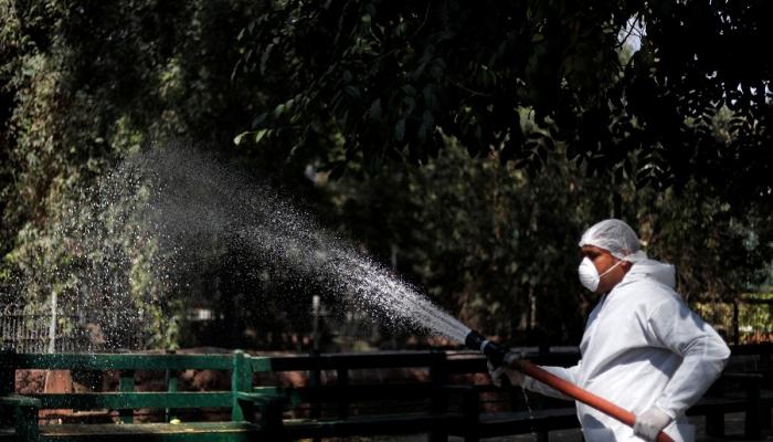 عامل يرش مطهرات بحديقة حيوانات الجيزة في مصر