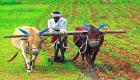 भारतीय पीएम किसान योजना के तहत लॉकडाउन के बाद से अब तक जारी किए गए 16621 करोड़ रुपये