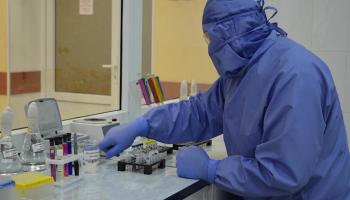 لكورونا 3 أنواع قاتلة تنتشر في جميع أنحاء العالم