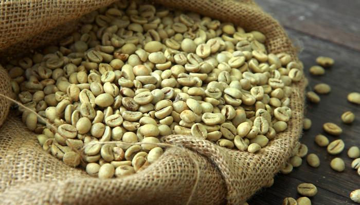 Pachet promo Green Coffee Extract, Rotta Natura, cps + 60cps | pupazadintei-iasi.ro