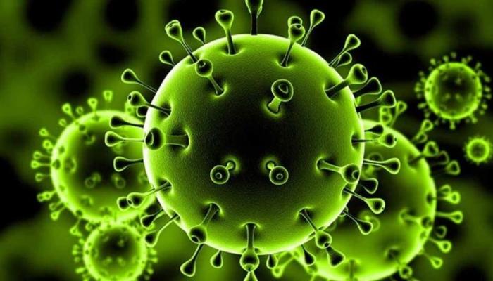 تسجيل الجينوم الخاص بكورونا يفتح الباب لإيجاد علاج فعال