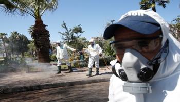 تعقيم الشوارع في المغرب