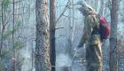 Из-за лесных пожаров в Забайкалье введен режим ЧС