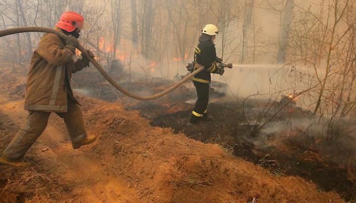 رجال إطفاء يكافحون حرائق الغابات 