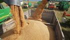 رغم انتقادات "فاو".. روسيا تعلق تصدير القمح والذرة